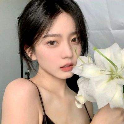 寻宝小狗手机版下载
